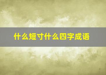 什么短寸什么四字成语