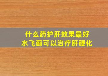 什么药护肝效果最好水飞蓟可以治疗肝硬化