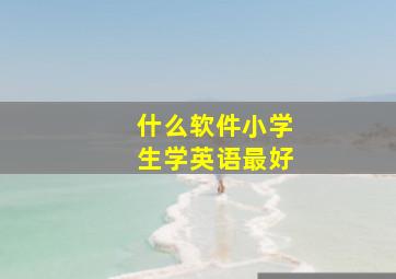 什么软件小学生学英语最好