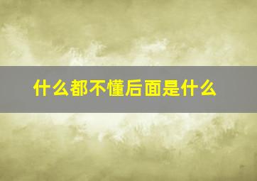 什么都不懂后面是什么