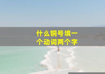 什么铜号填一个动词两个字