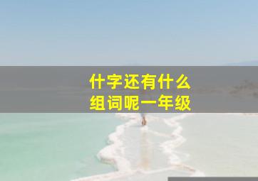 什字还有什么组词呢一年级