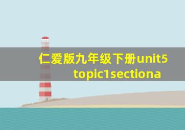 仁爱版九年级下册unit5topic1sectiona