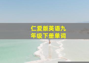 仁爱版英语九年级下册单词