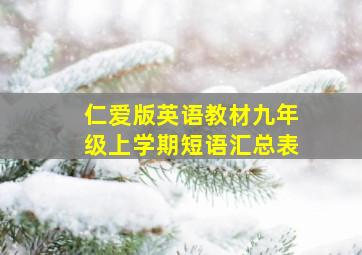 仁爱版英语教材九年级上学期短语汇总表