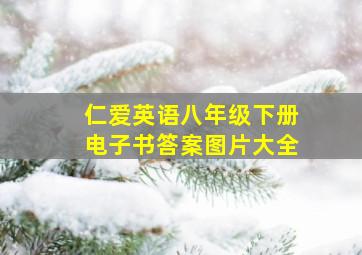 仁爱英语八年级下册电子书答案图片大全