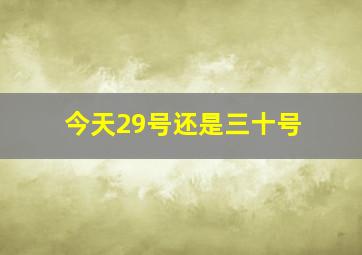 今天29号还是三十号