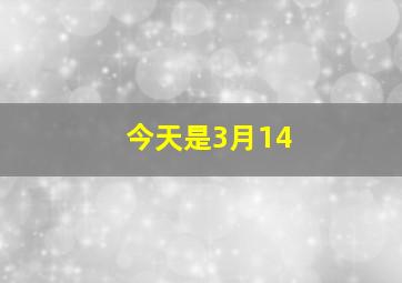 今天是3月14