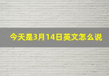 今天是3月14日英文怎么说