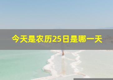 今天是农历25日是哪一天