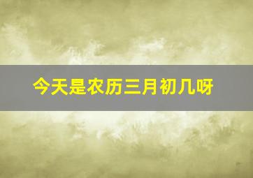 今天是农历三月初几呀