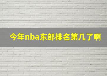 今年nba东部排名第几了啊