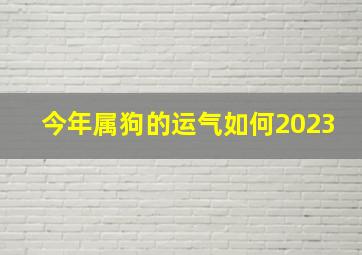 今年属狗的运气如何2023