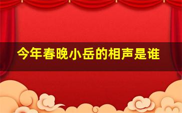 今年春晚小岳的相声是谁