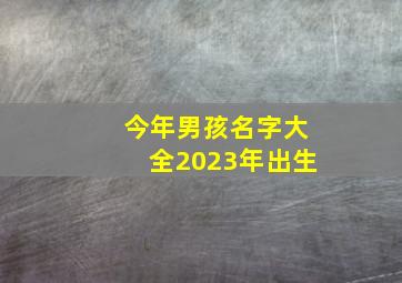 今年男孩名字大全2023年出生