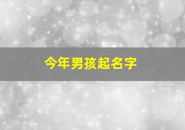 今年男孩起名字