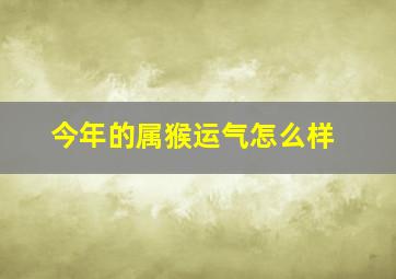 今年的属猴运气怎么样