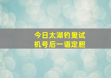 今日太湖钓叟试机号后一语定胆