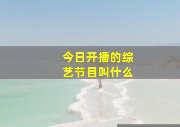 今日开播的综艺节目叫什么