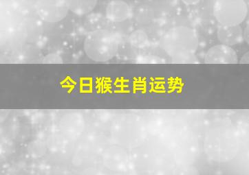 今日猴生肖运势