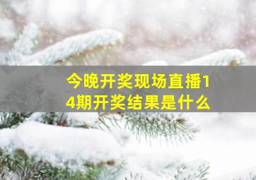 今晚开奖现场直播14期开奖结果是什么