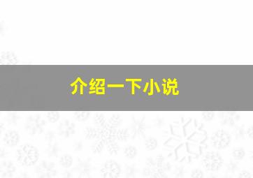 介绍一下小说