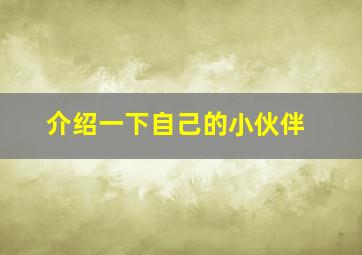 介绍一下自己的小伙伴