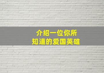 介绍一位你所知道的爱国英雄