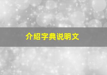 介绍字典说明文