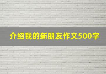 介绍我的新朋友作文500字