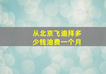 从北京飞迪拜多少钱油费一个月