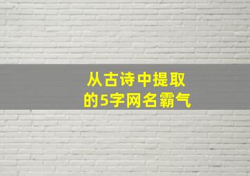 从古诗中提取的5字网名霸气