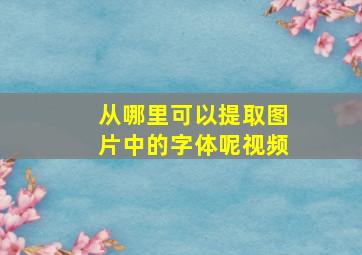 从哪里可以提取图片中的字体呢视频