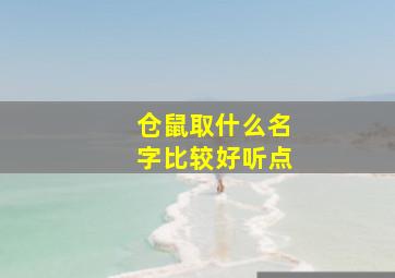 仓鼠取什么名字比较好听点