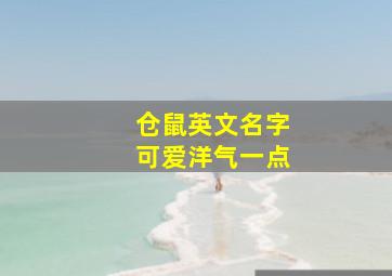 仓鼠英文名字可爱洋气一点