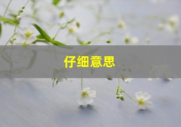 仔细意思