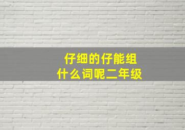 仔细的仔能组什么词呢二年级