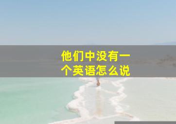 他们中没有一个英语怎么说