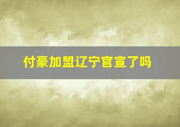 付豪加盟辽宁官宣了吗