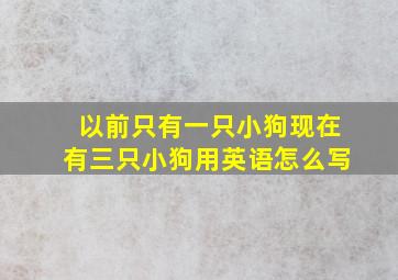 以前只有一只小狗现在有三只小狗用英语怎么写