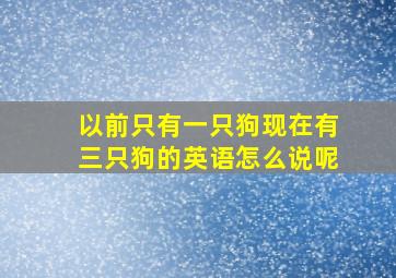 以前只有一只狗现在有三只狗的英语怎么说呢