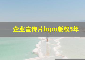 企业宣传片bgm版权3年