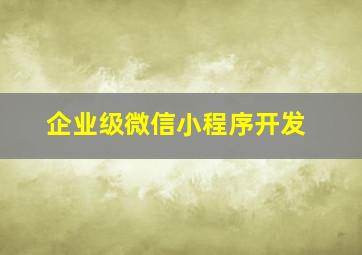 企业级微信小程序开发