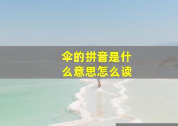 伞的拼音是什么意思怎么读