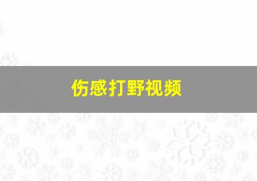 伤感打野视频