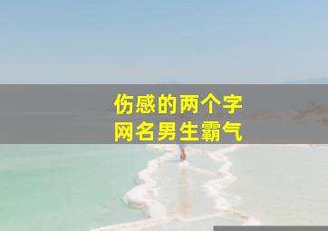 伤感的两个字网名男生霸气