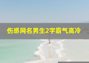 伤感网名男生2字霸气高冷