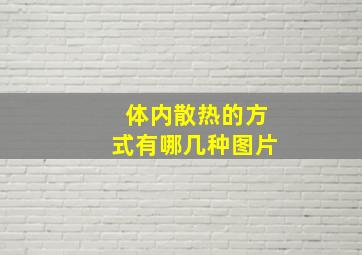 体内散热的方式有哪几种图片