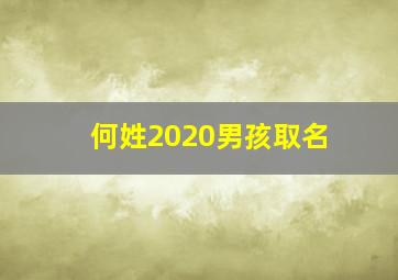 何姓2020男孩取名