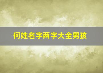 何姓名字两字大全男孩